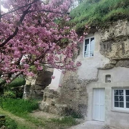 Troglo Entre Caves Et Chateaux モンルイ・シュル・ロワール エクステリア 写真