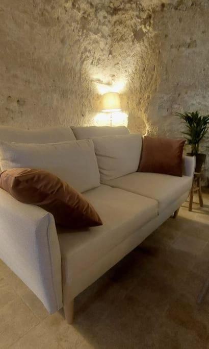 Troglo Entre Caves Et Chateaux モンルイ・シュル・ロワール エクステリア 写真
