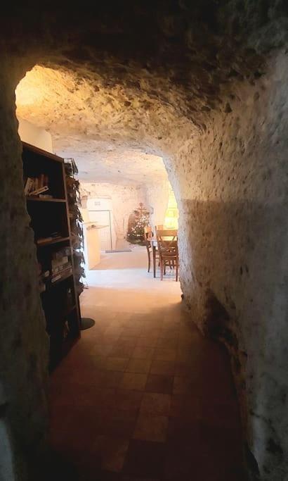 Troglo Entre Caves Et Chateaux モンルイ・シュル・ロワール エクステリア 写真