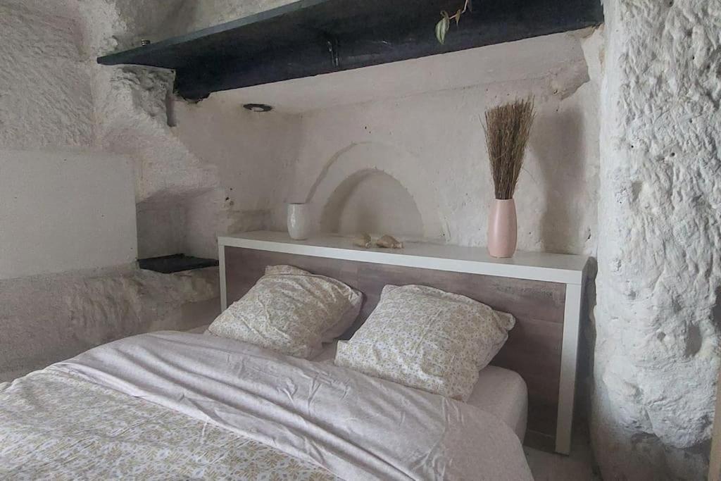 Troglo Entre Caves Et Chateaux モンルイ・シュル・ロワール エクステリア 写真