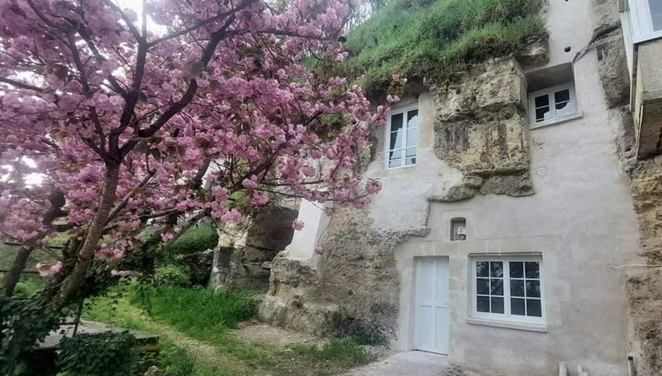 Troglo Entre Caves Et Chateaux モンルイ・シュル・ロワール エクステリア 写真